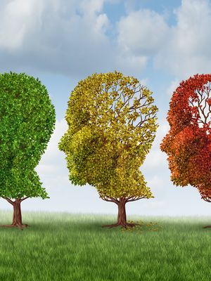 muisti, muistihäiriöt, Alzheimerin tauri, dementia