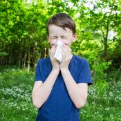 allergia, yliherkkyys, heinänuha