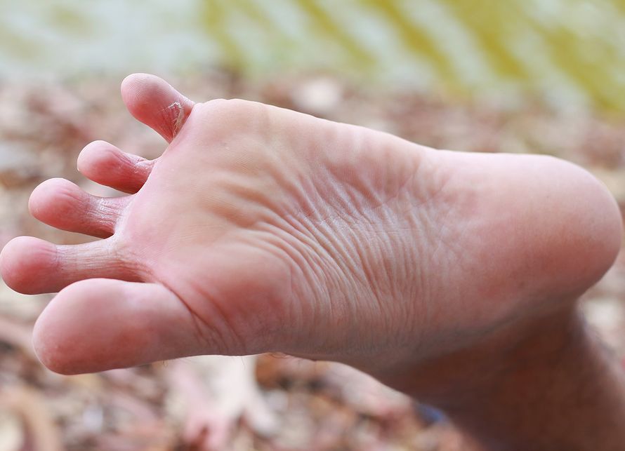 jalkasilsa, jalkasieni