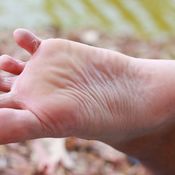 jalkasilsa, jalkasieni