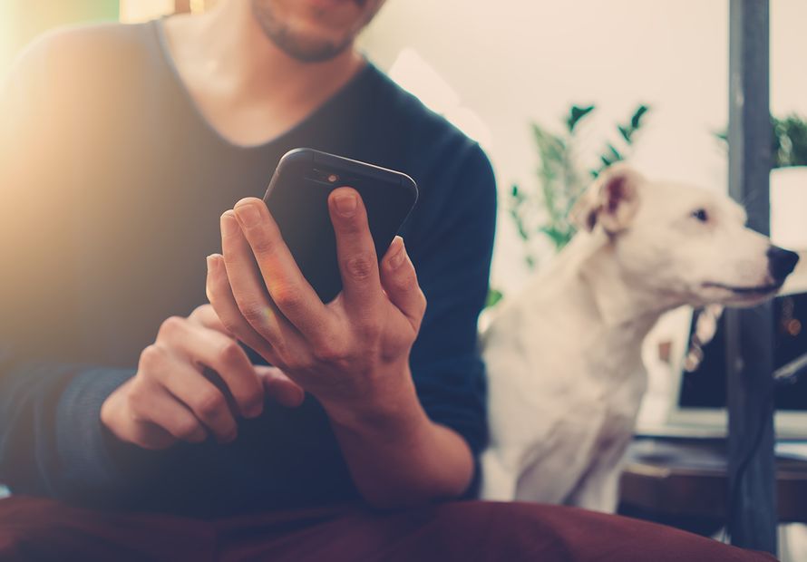 mustasukkaisuus, parisuhde