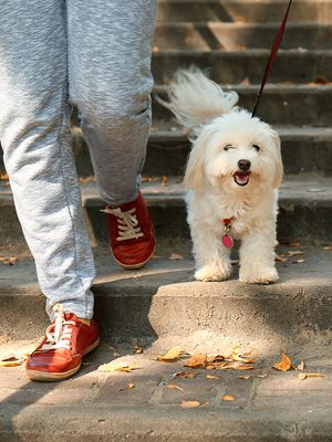 stressi uupumus väsymys