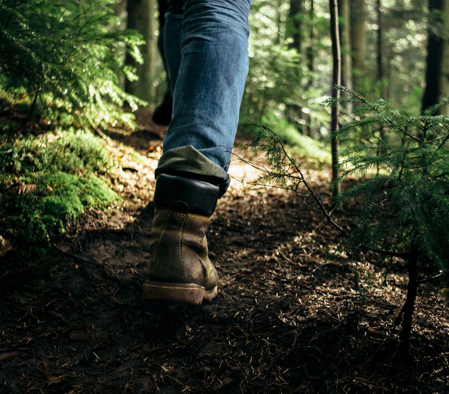 laihdutus, aineenvaihdunta, liikunta