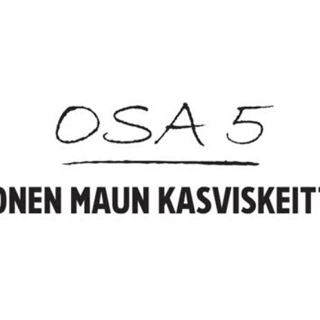 Raxun 5 lempiruokaa: monen maun kasviskeitto