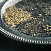 mausteet antibiootteina antibakteeriset korianteri oregaano hunaja