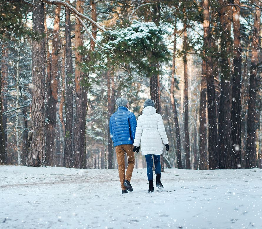 talviulkoilu, lumikenkäily, hiihto, luistelu