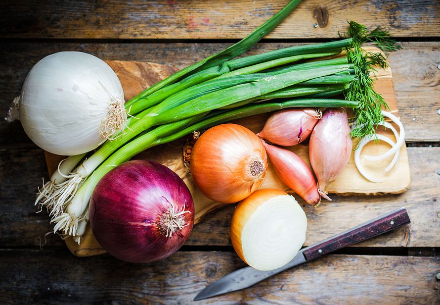 vastustuskykyä tauteja vastaan erilaisista sipuleista