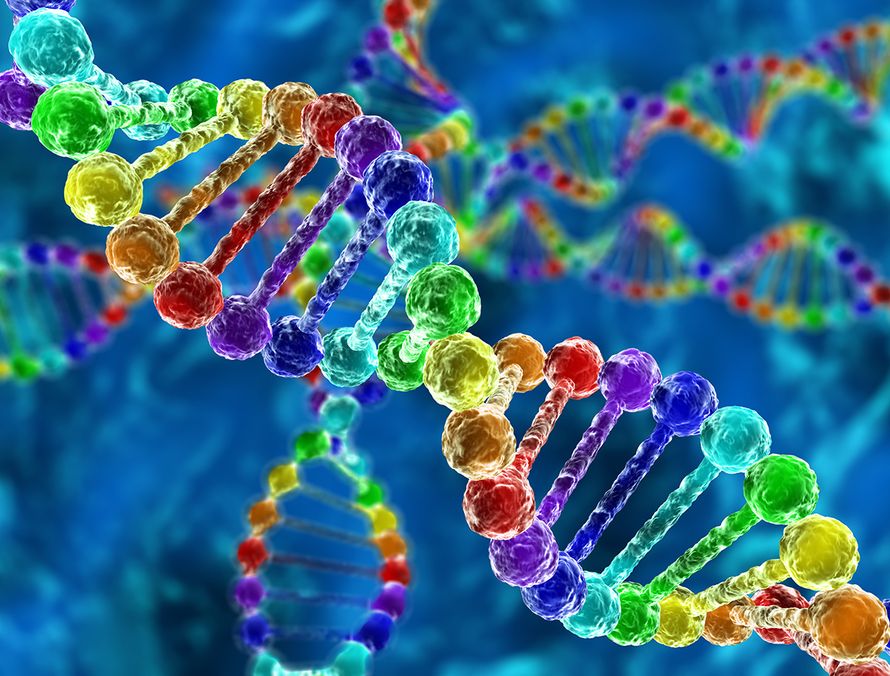 perinnöllisyys, geenit, DNA