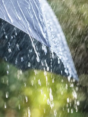 Tinnitusta helpottaa luonnon äänien kuuntelu