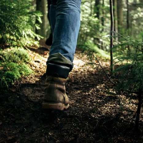 laihdutus, aineenvaihdunta, liikunta