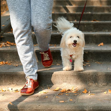 stressi uupumus väsymys