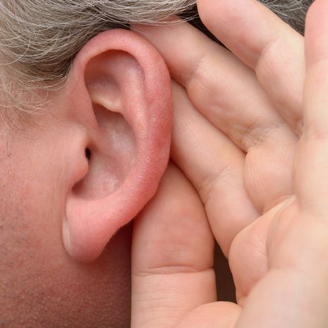 Korvanlehdet ja taustat kutisevat ihottuma allergia