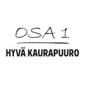 Raxun 5 lempiruokaa: hyvä kaurapuuro