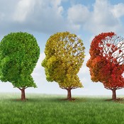 muisti, muistihäiriöt, Alzheimerin tauri, dementia