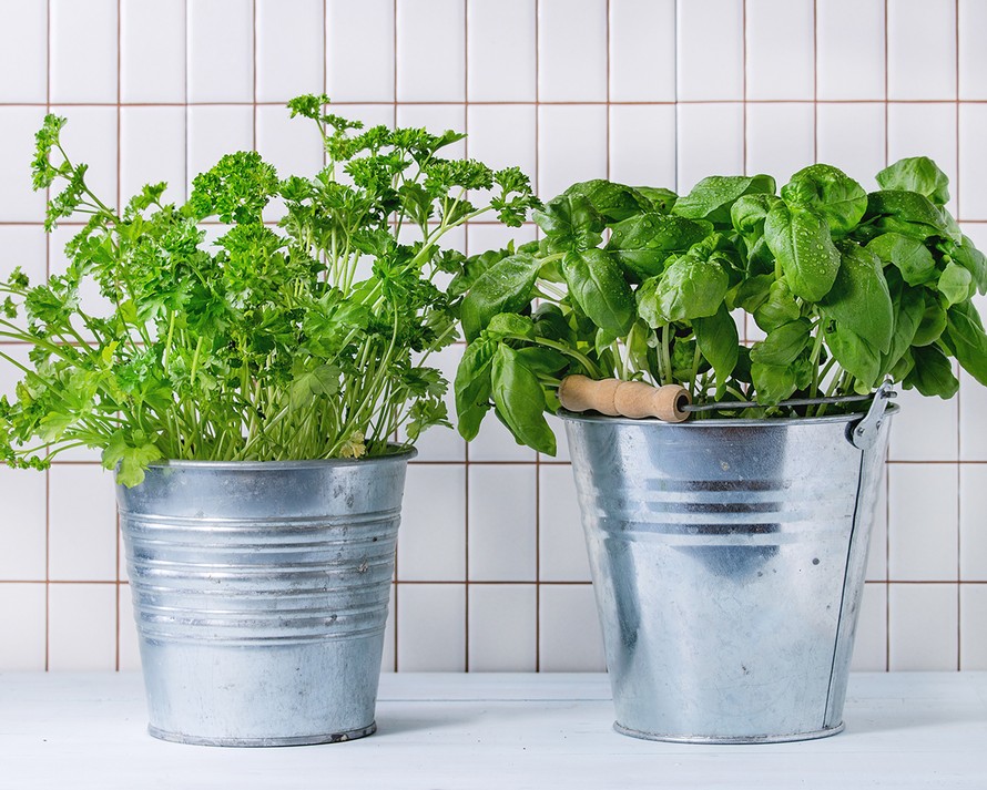 edullinen ruoka, ekologinen ruoka