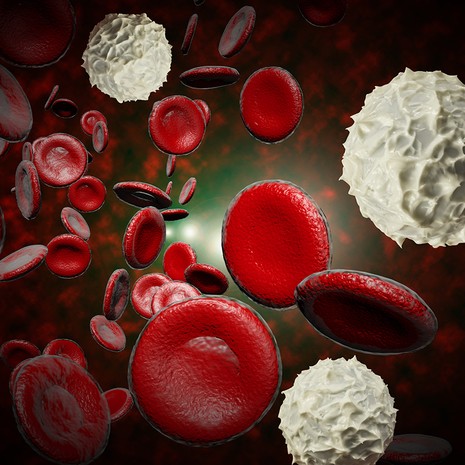 veren valkosolut, tulehdus, verisyöpä, leukemia