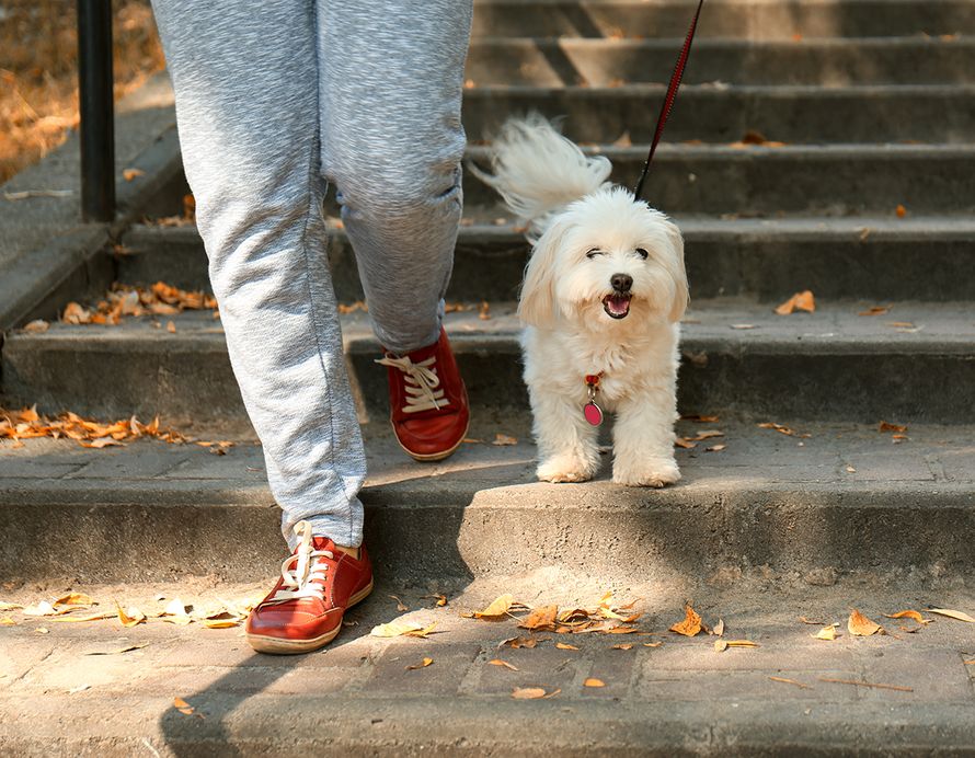 stressi uupumus väsymys