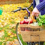 terveystekoja itselle, koko kansalle ja ympäristölle: kasvissyönti, polkupyöräily ja puun polton vähentäminen