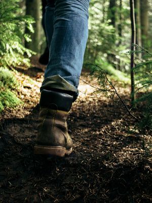 laihdutus, aineenvaihdunta, liikunta