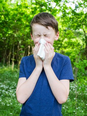 allergia, yliherkkyys, heinänuha