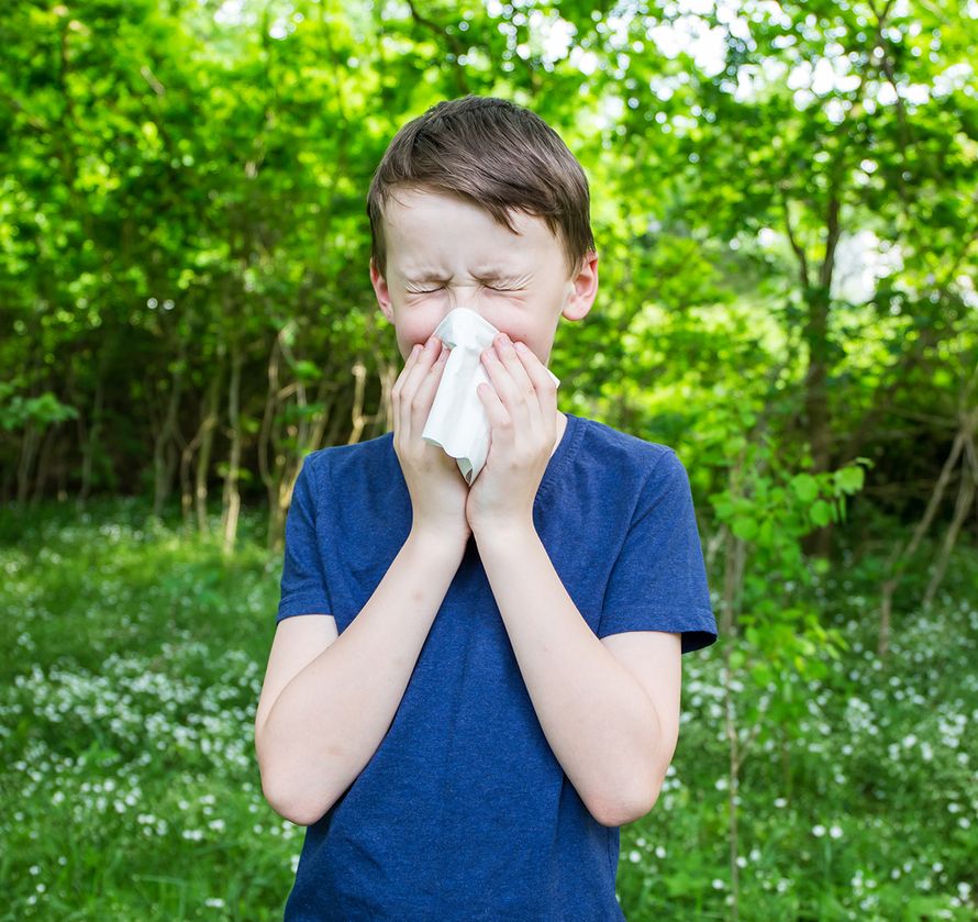 allergia, yliherkkyys, heinänuha