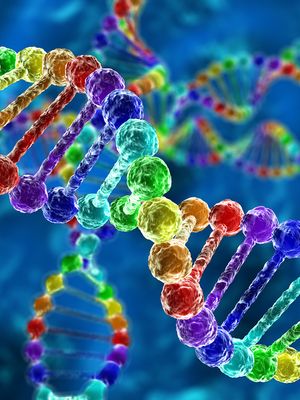 perinnöllisyys, geenit, DNA