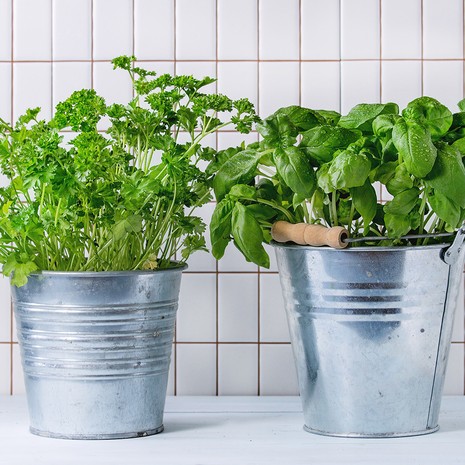 edullinen ruoka, ekologinen ruoka