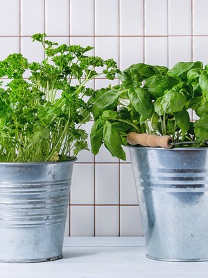 edullinen ruoka, ekologinen ruoka