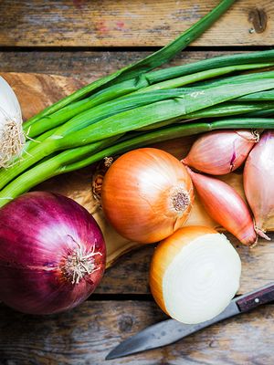 vastustuskykyä tauteja vastaan erilaisista sipuleista